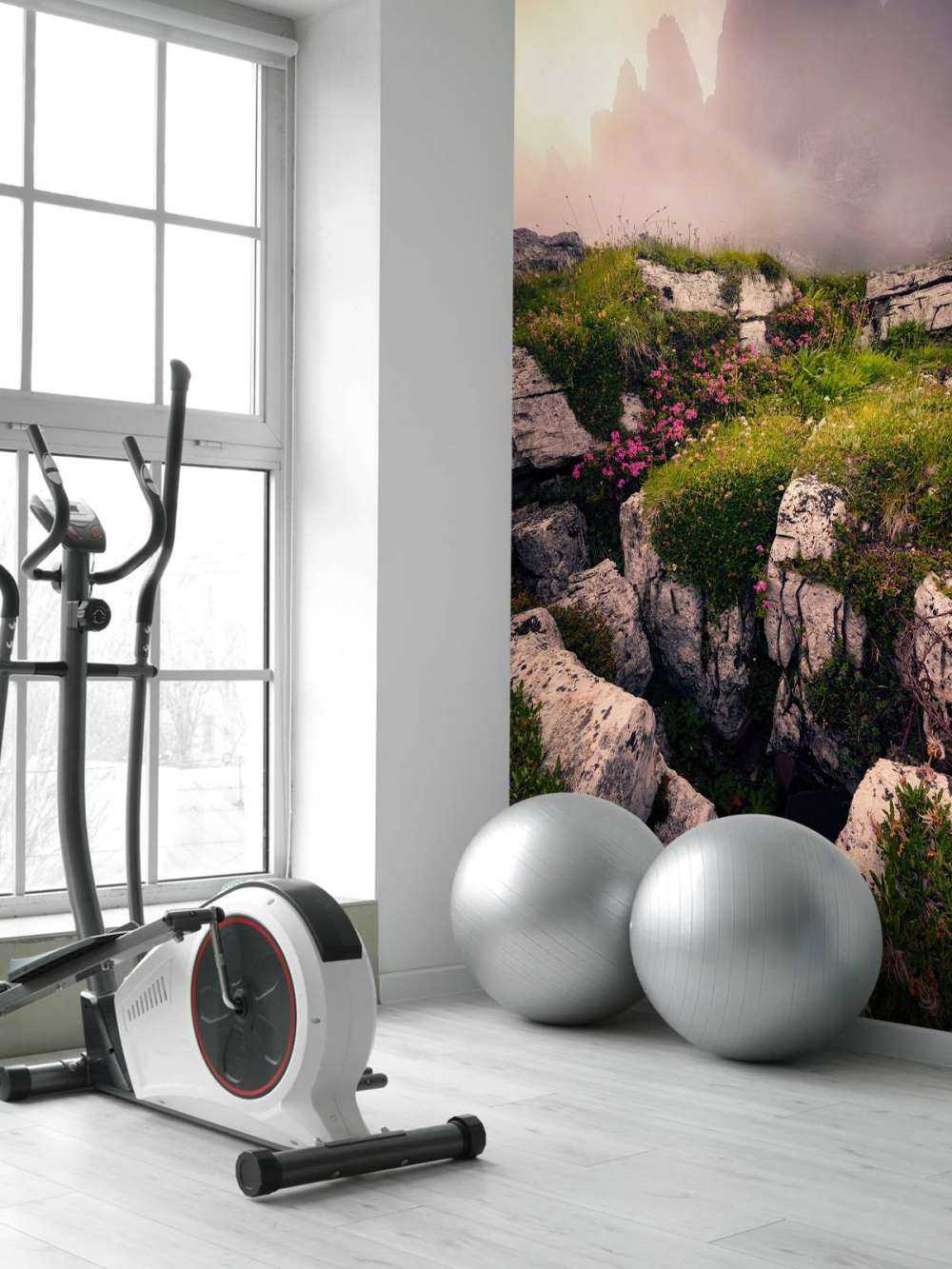 Nevelige Bergtoppen en Alpenbloemen