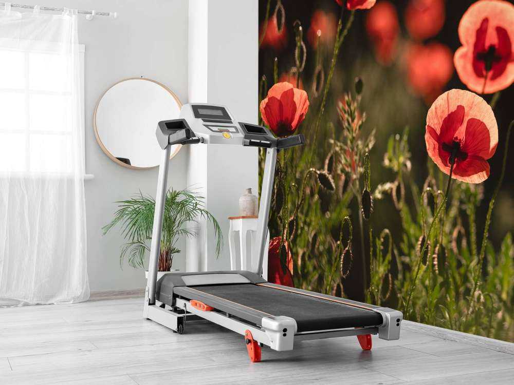 Dansende Klaprozen in Zonlicht