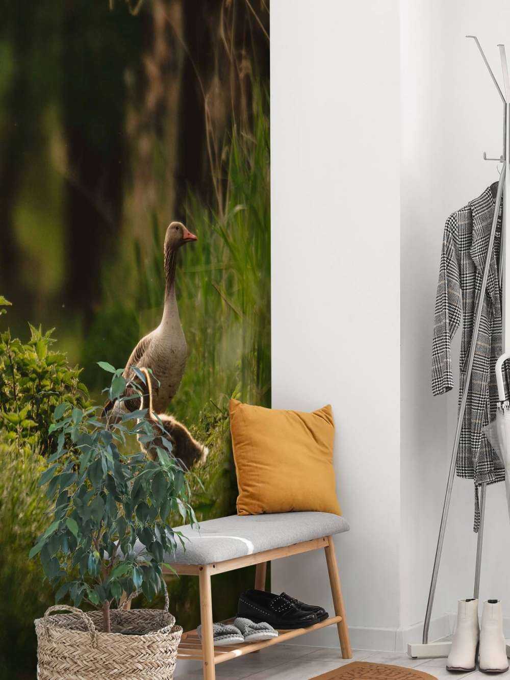 Ganzenfamilie in het Bos