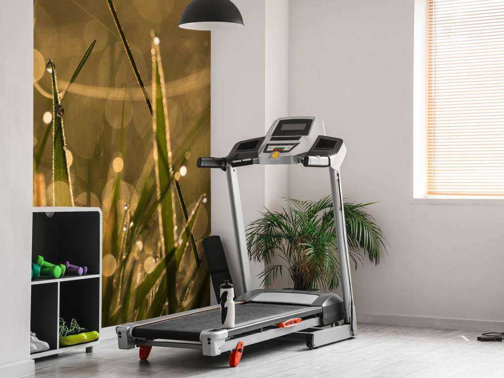 Glanzend Ochtendgras