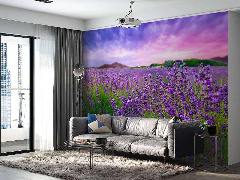 Lavendel met zonsondergang