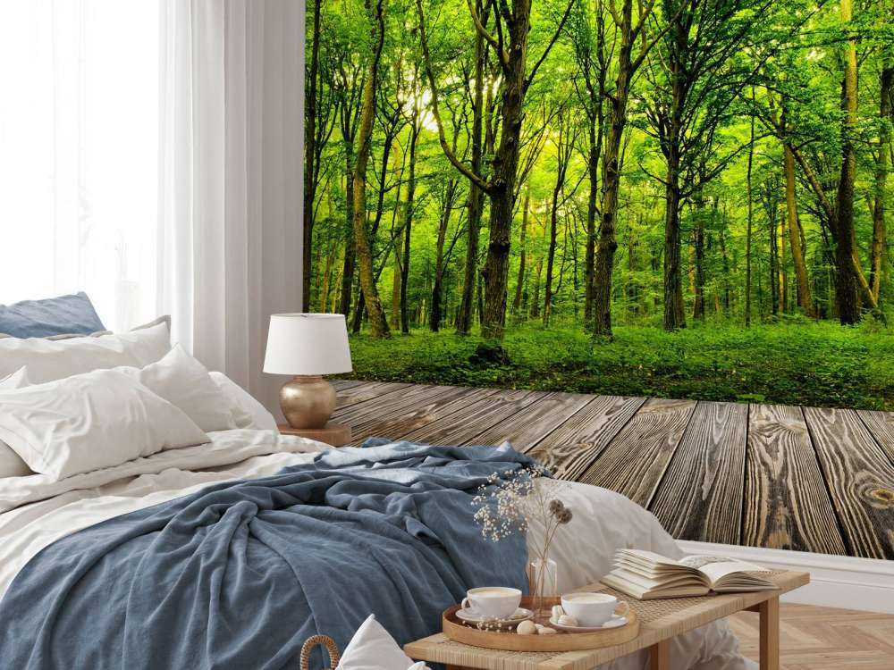 Zomers bos met doorkomend daglicht