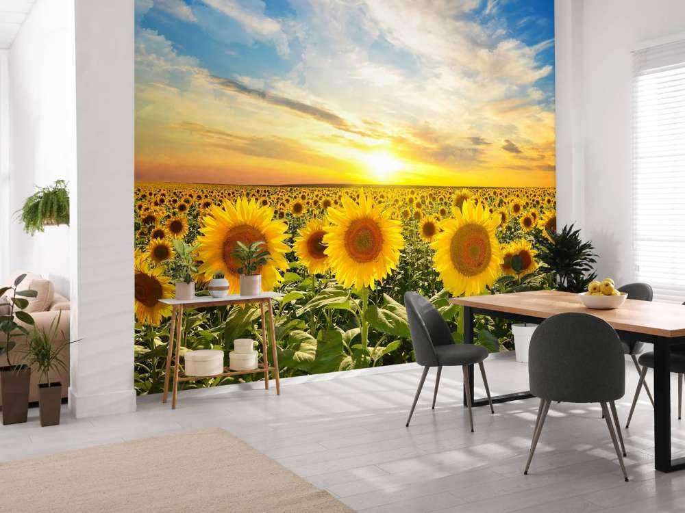 Zonnebloemen bij zonsopkomst