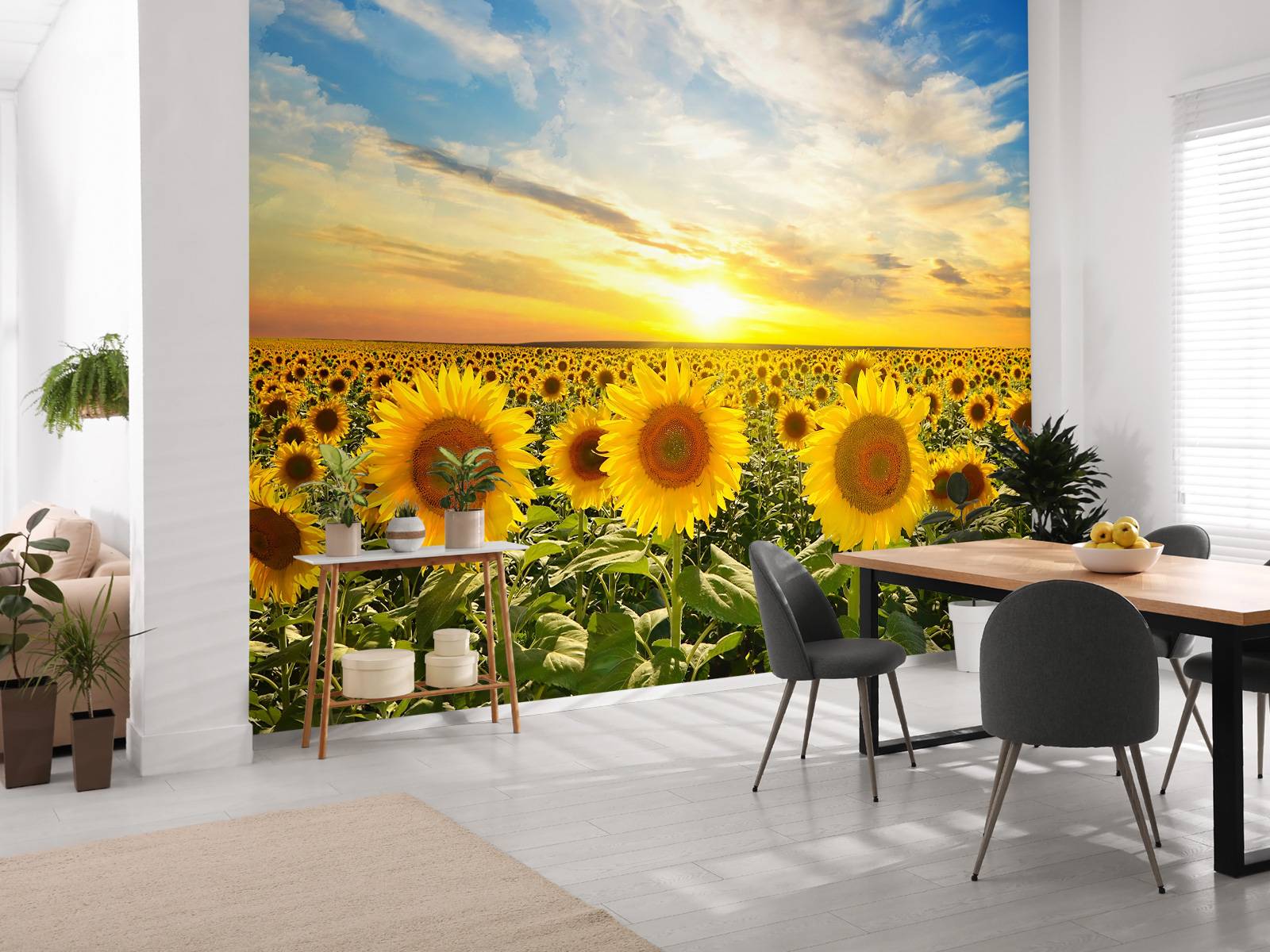 Zonnebloemen bij zonsopkomst