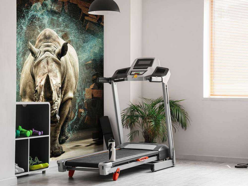 Neushoorn breekt door de muur