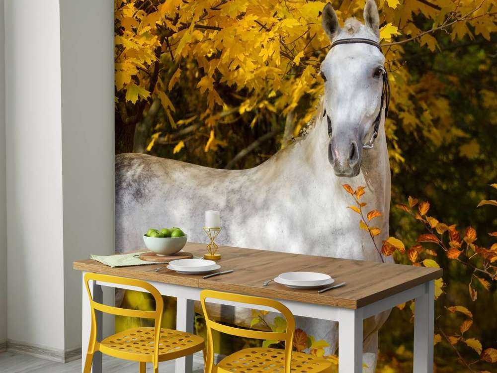 Wit Paard in de Herfst