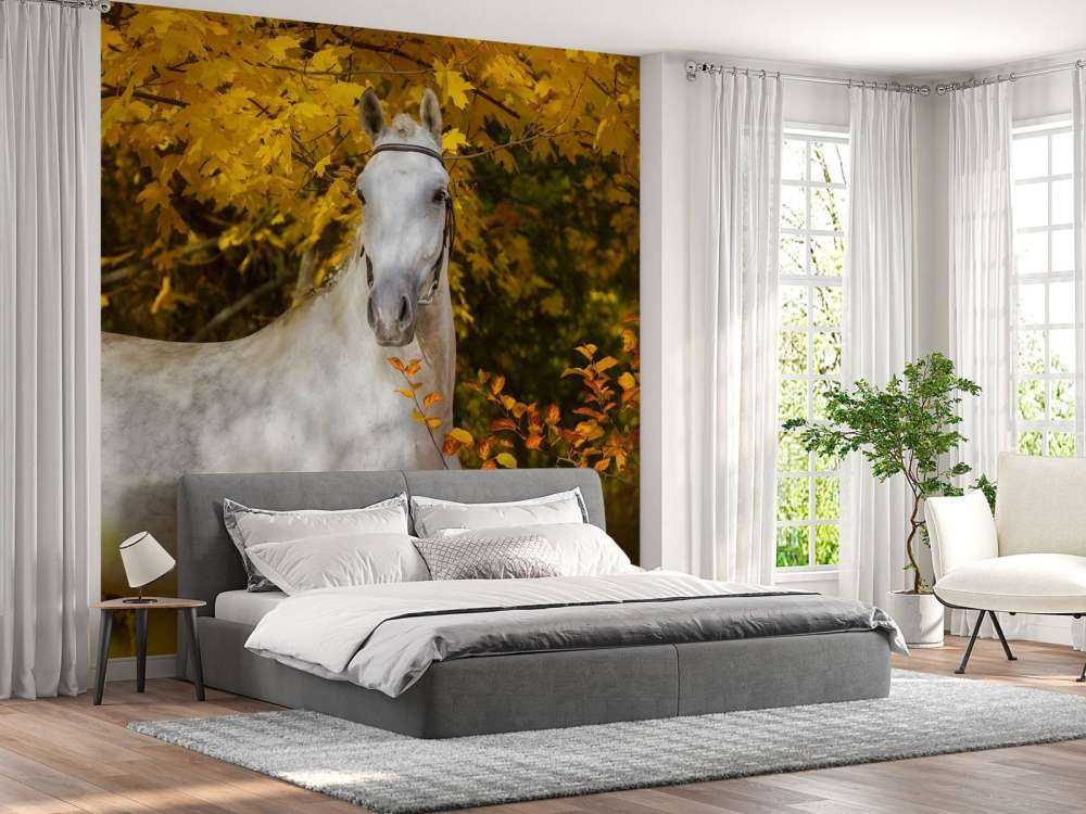 Wit Paard in de Herfst