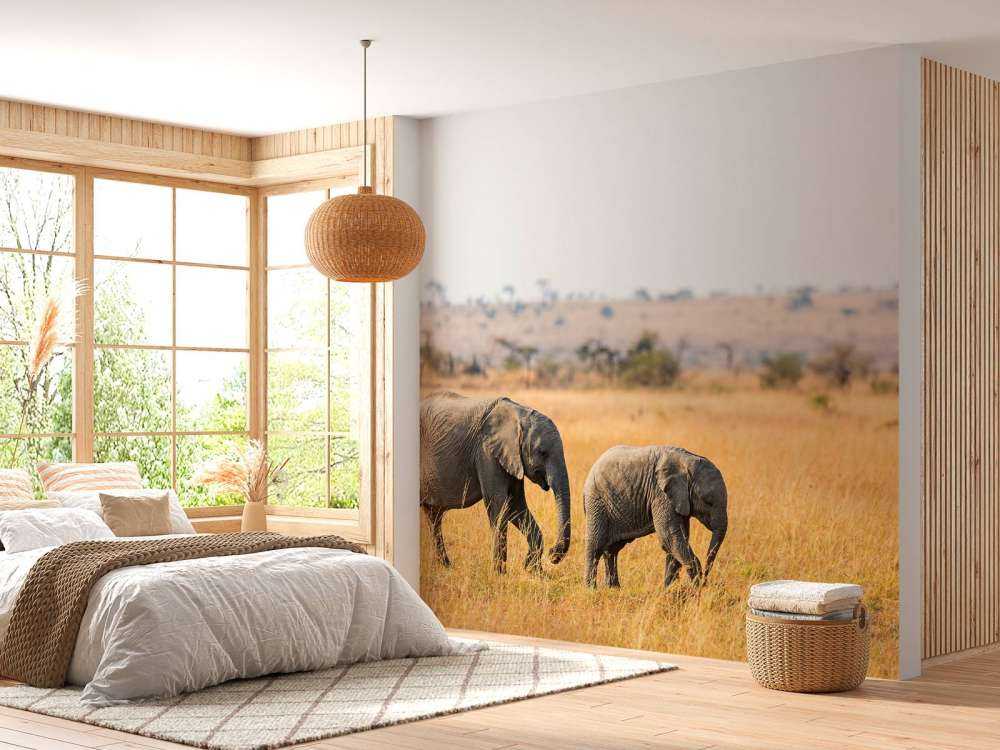 Olifant en Baby Olifant in Afrika