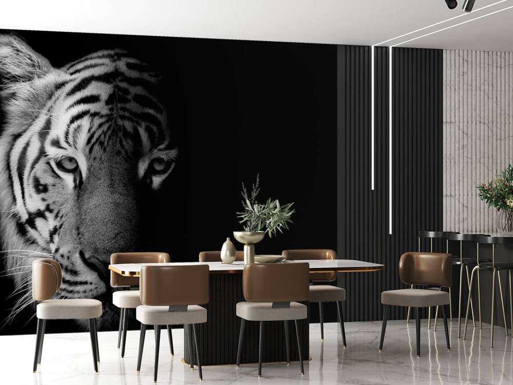 Tijger op zwarte achtergrond