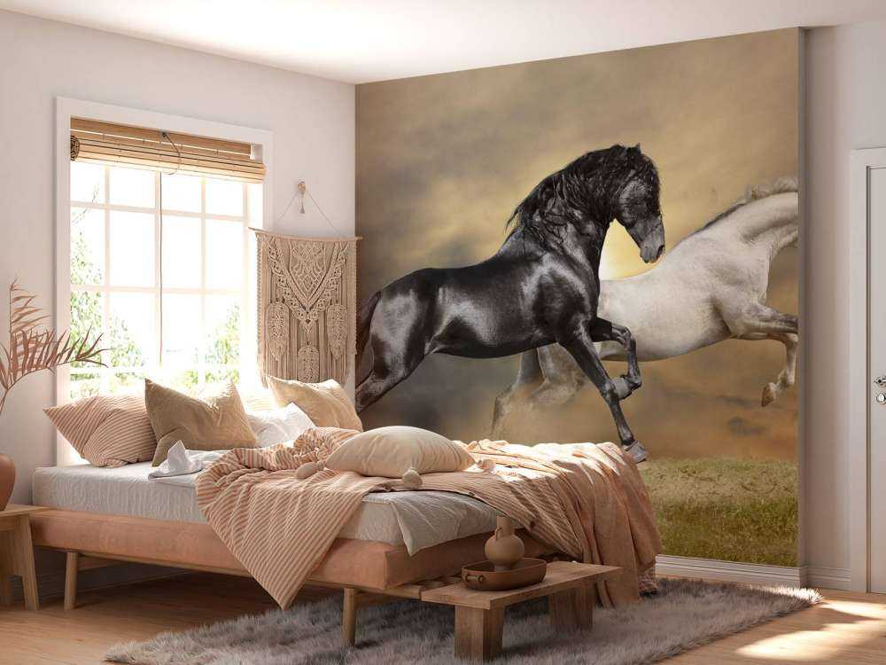 Zwart & Wit Paard op Gras