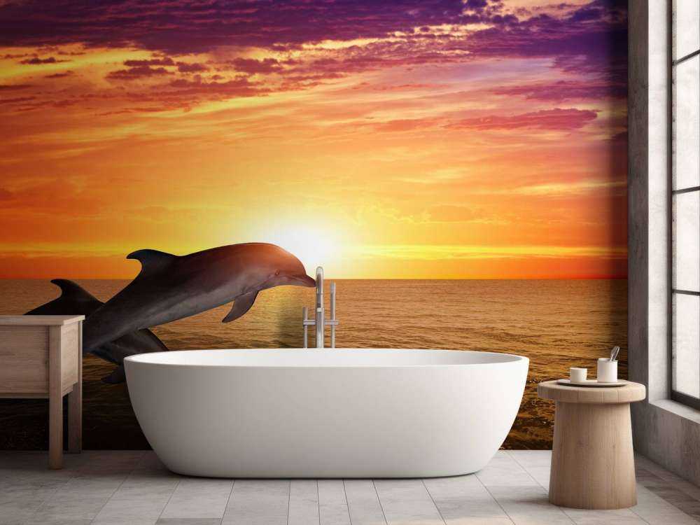 Dolfijnen bij zonsondergang