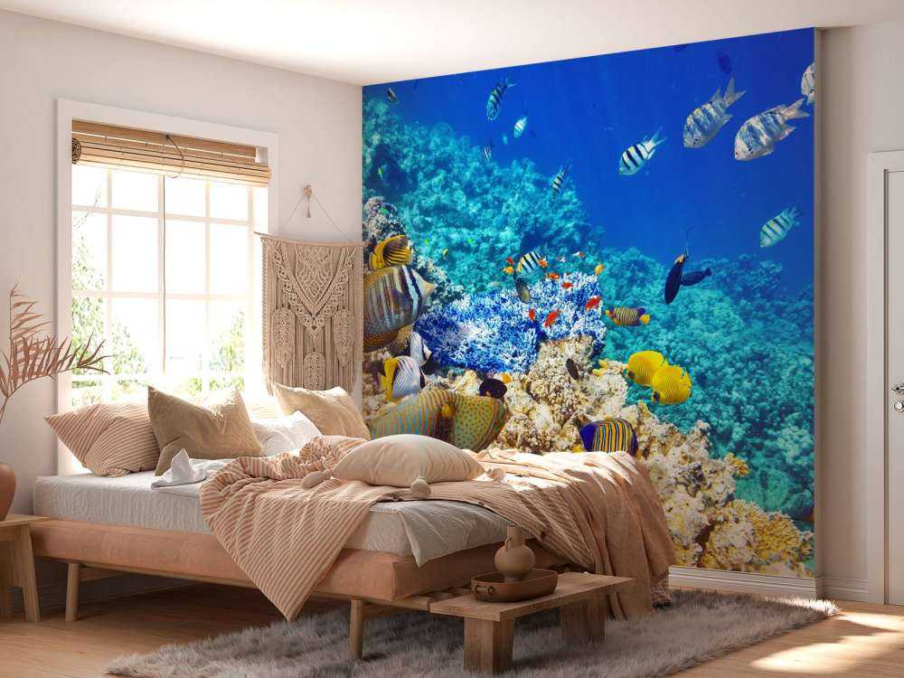 Exotische vissen in de oceaan