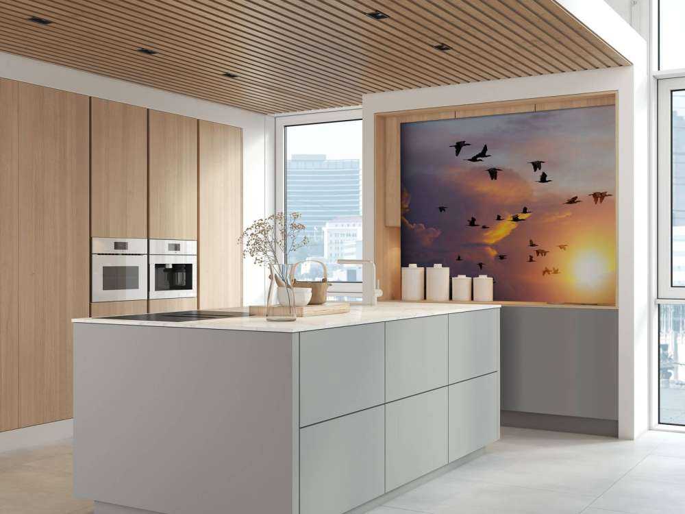 Vliegende aalscholvers bij zonsondergang