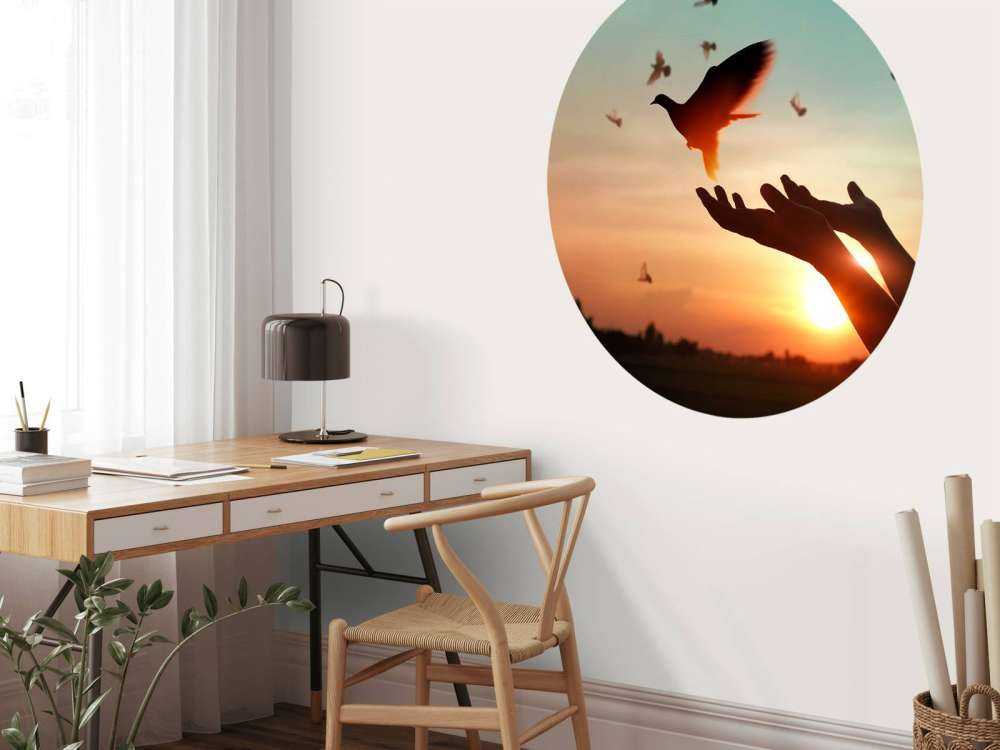 Duif bij zonsondergang