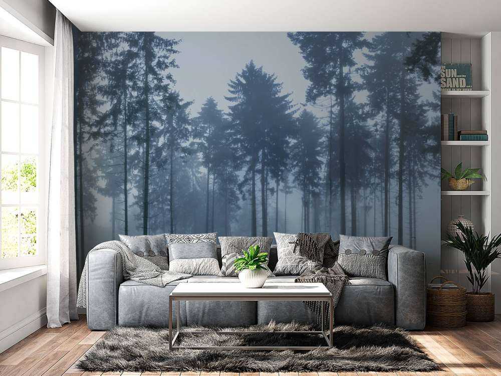 Het mistige landschap