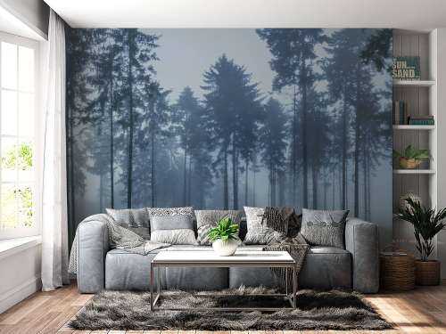 Het mistige landschap