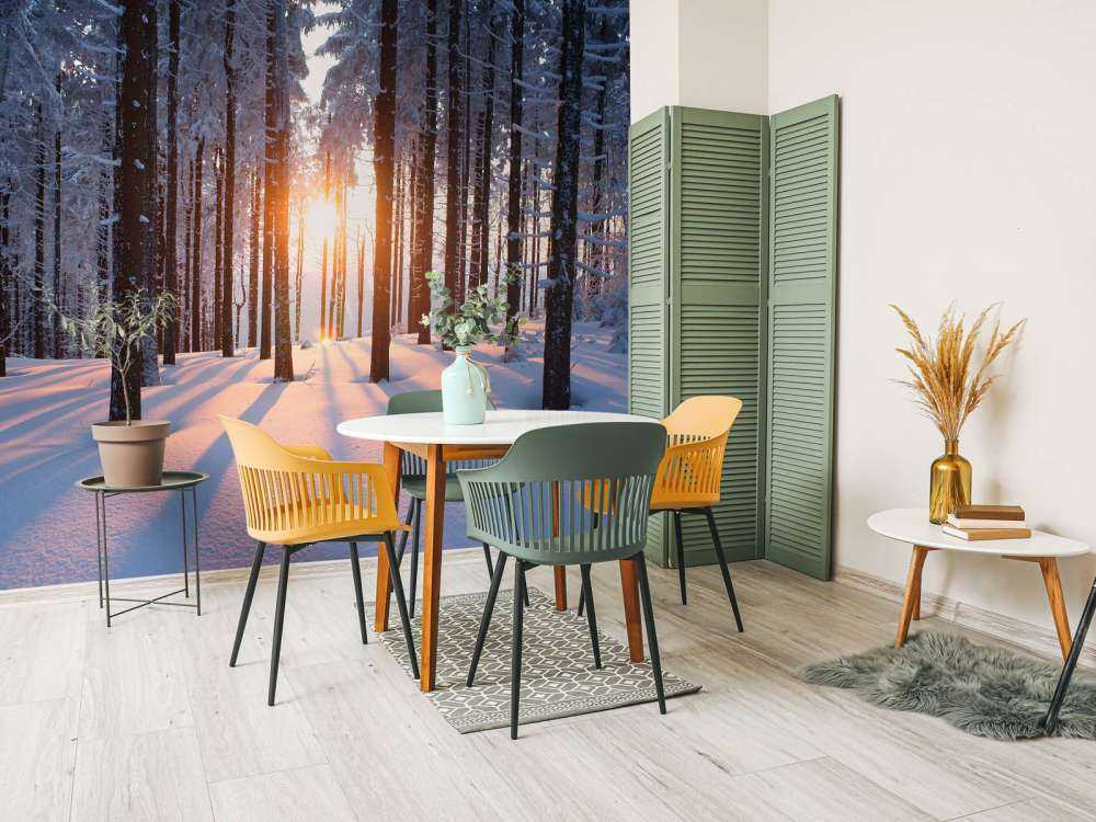 Zonsondergang in een winterbos