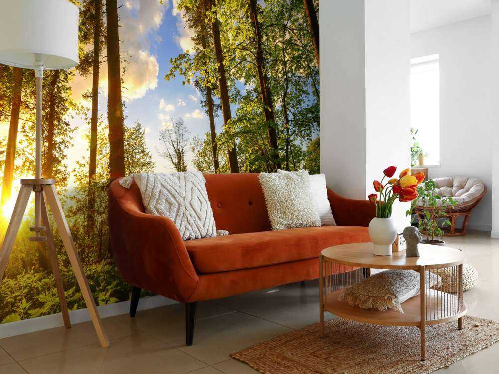 Zonsondergang door de bomen