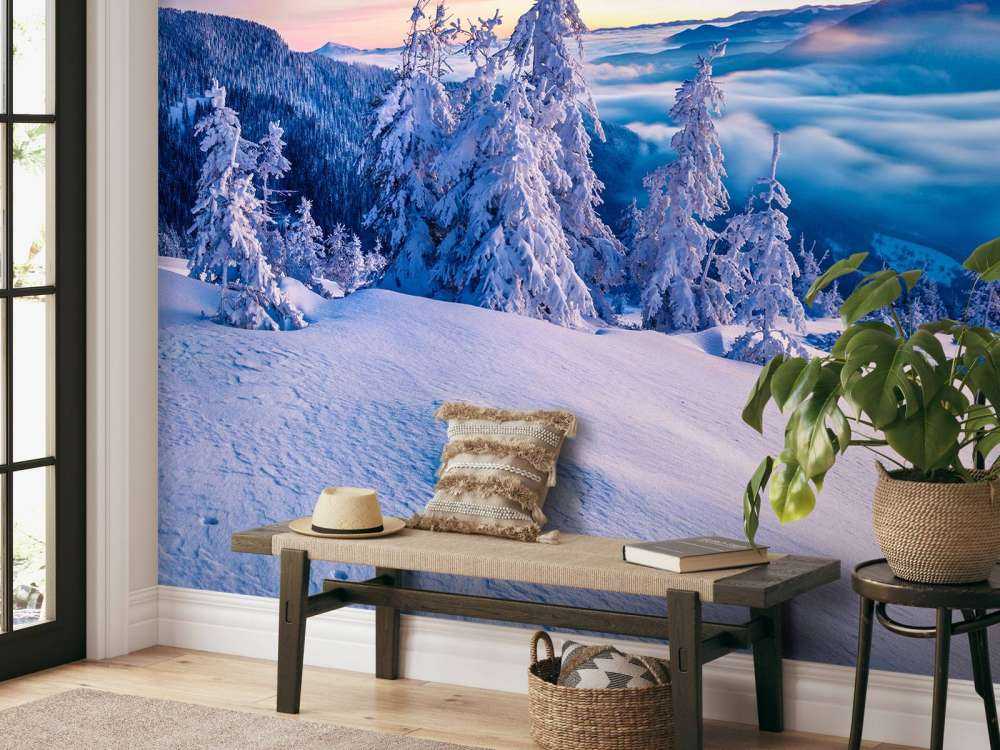 De Karpaten in de winter