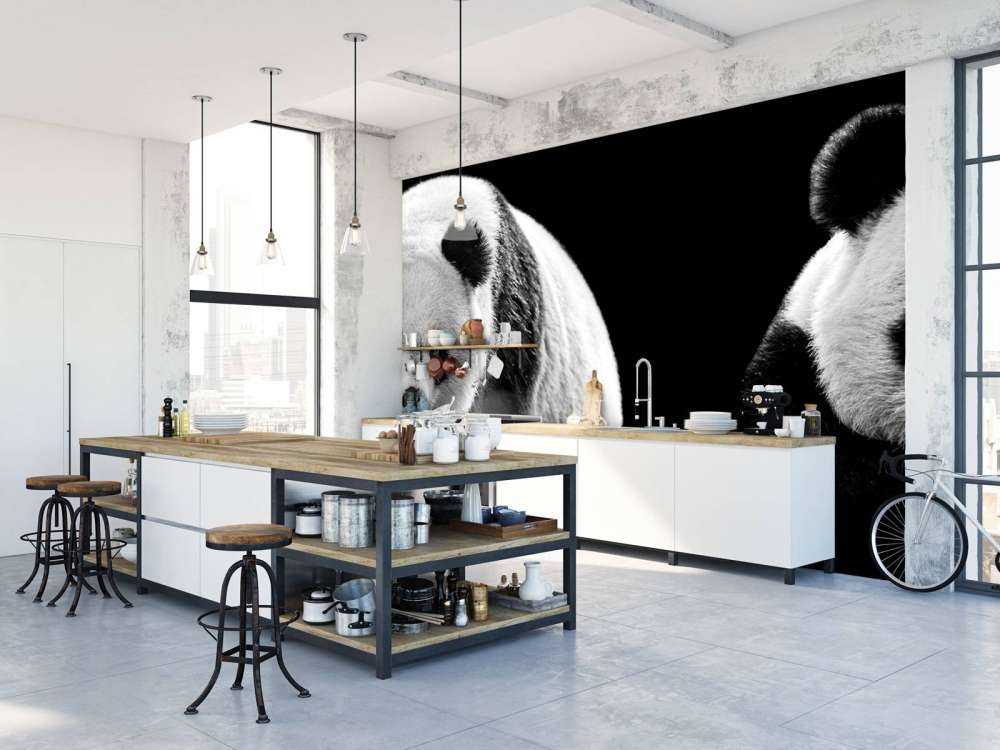 Panda's met een zwarte achtergrond