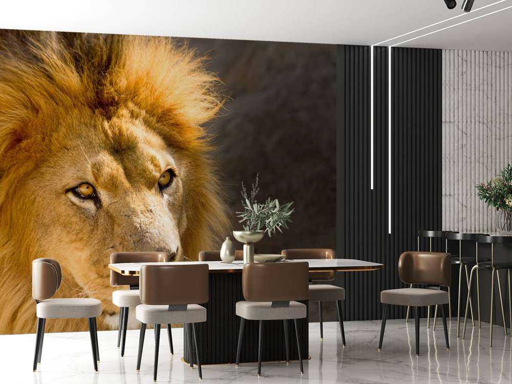 Starende Leeuw Close-Up