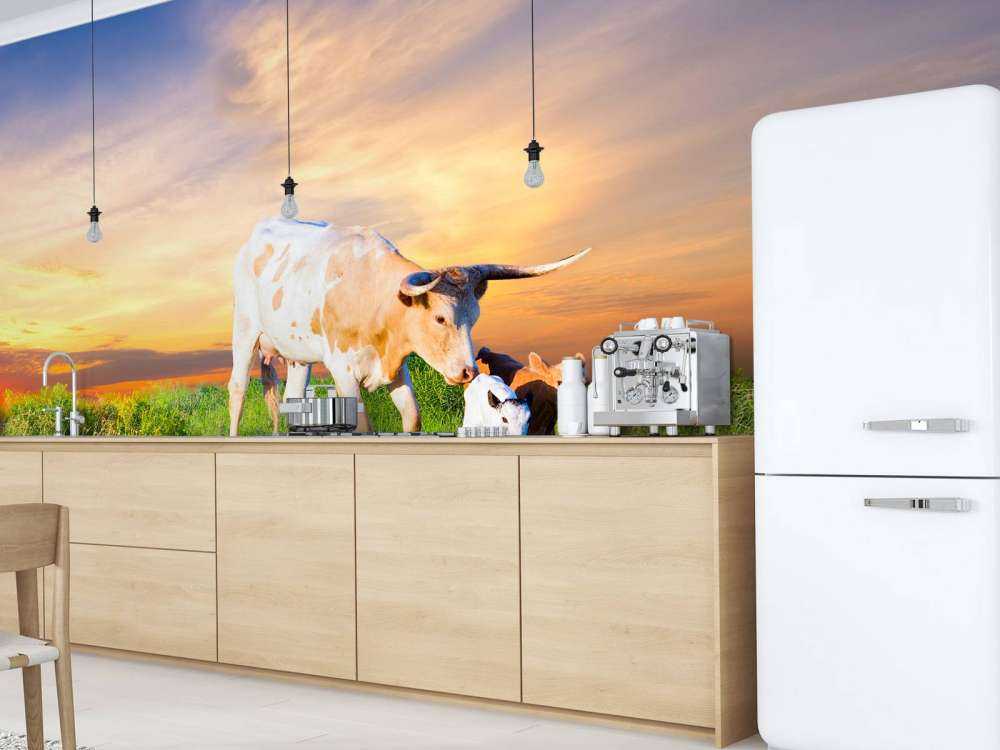 Koe en Kalf zonsondergang