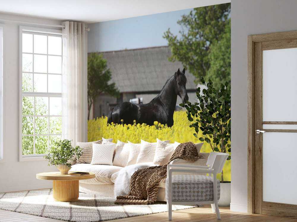 Zwart Fries Paard in de lente tussen de bloemen