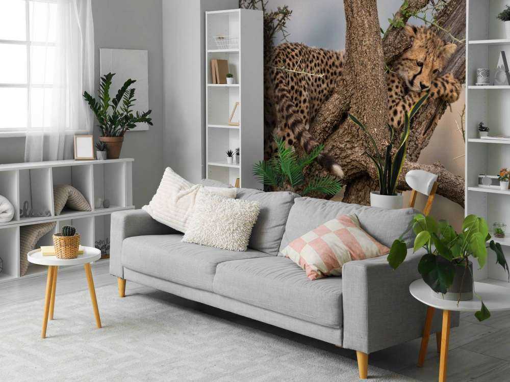 Luipaard krabt aan een boom