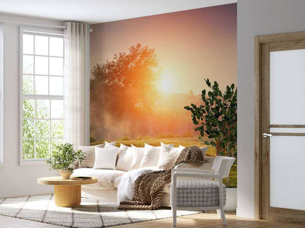 Arabisch paard bij zonsondergang