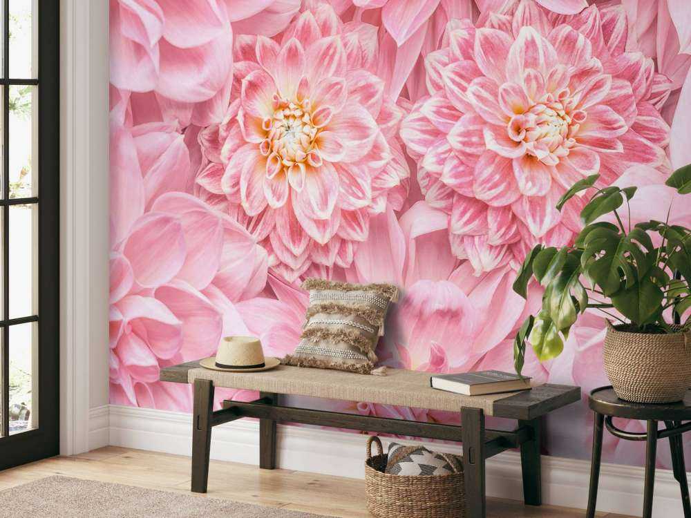 Roze bloemen met een gele kern