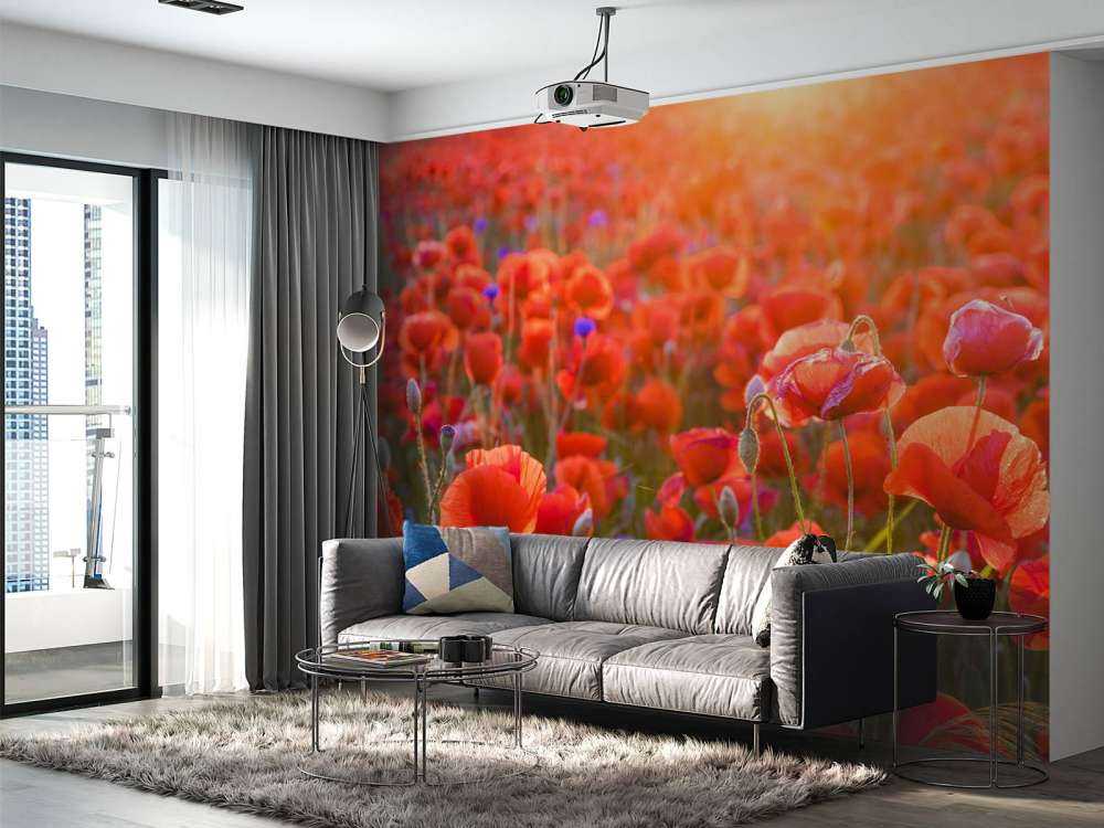 Klaprozen close-up bij zonsondergang