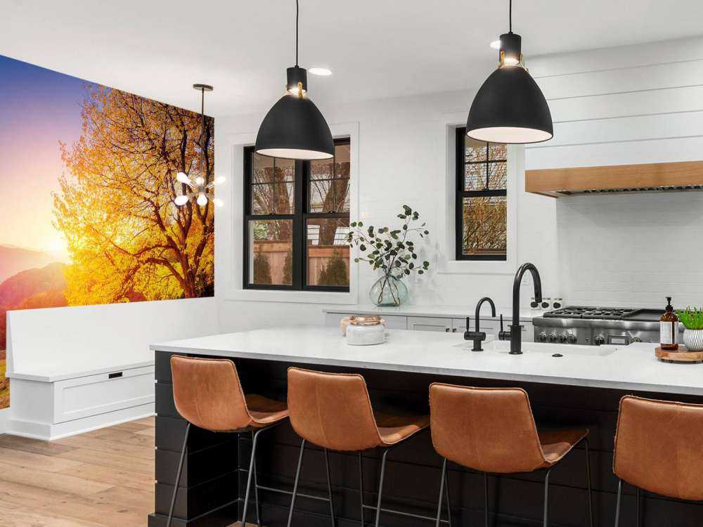 Prachtige beukenboom in de herfst