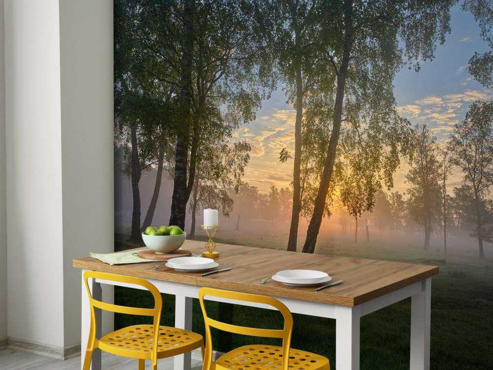 Zonsopgang bij de berken