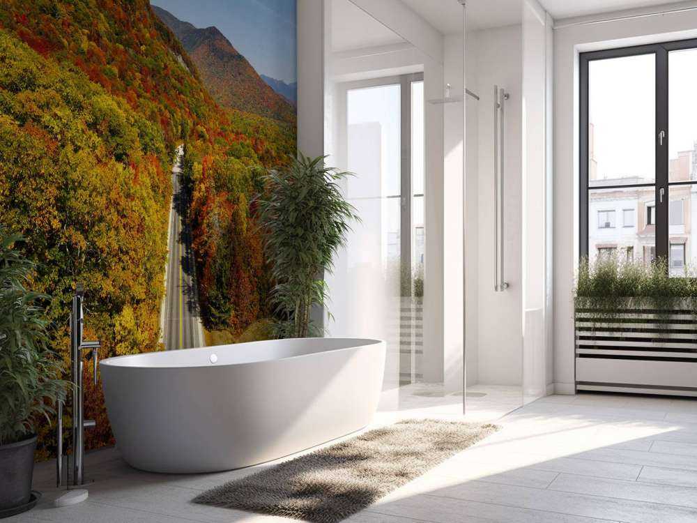 Weg door het herfstlandschap