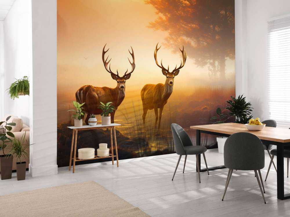 Ochtendglorie Hertenpracht