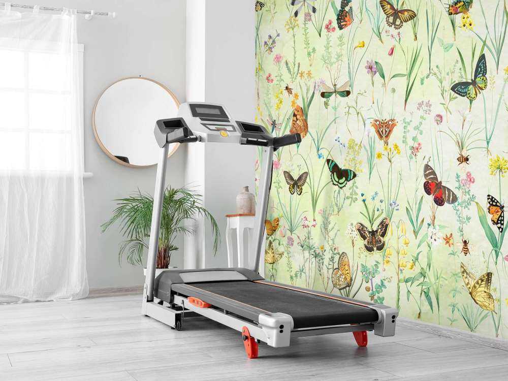 Meadow of Butterflies