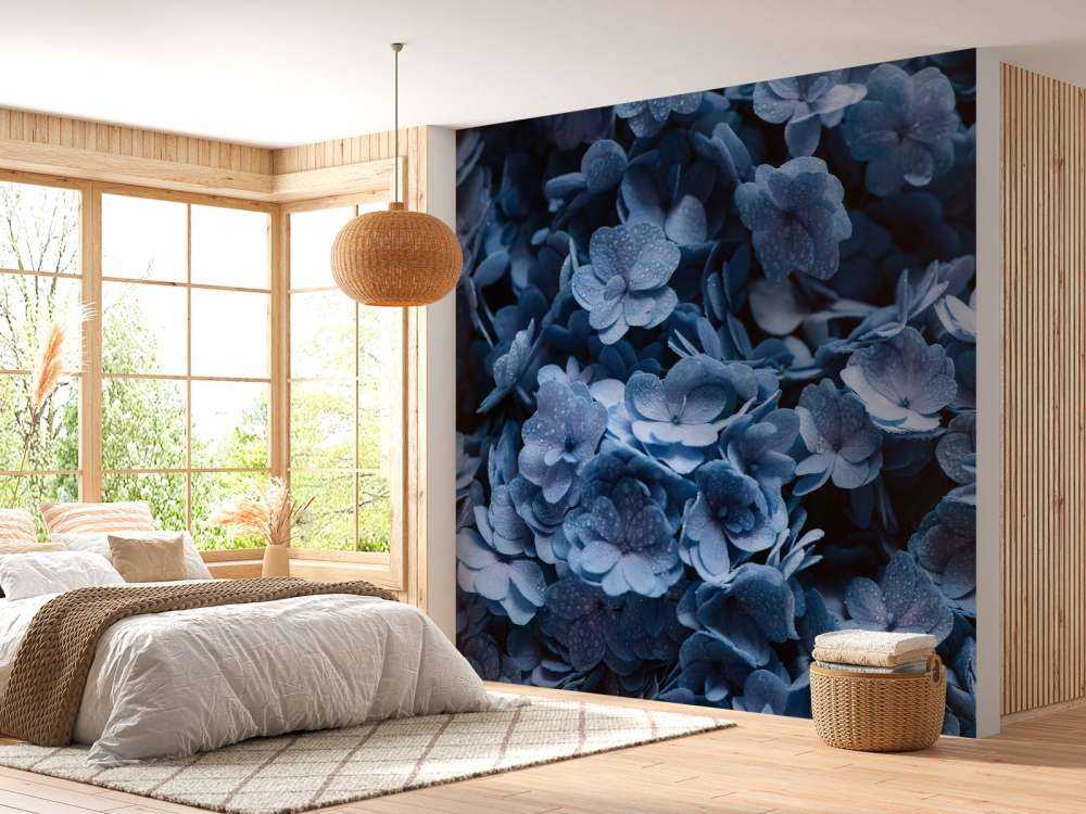 Close-up hortensia's