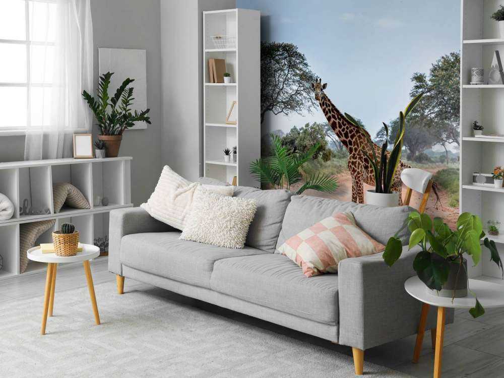 Verbaasde giraffe