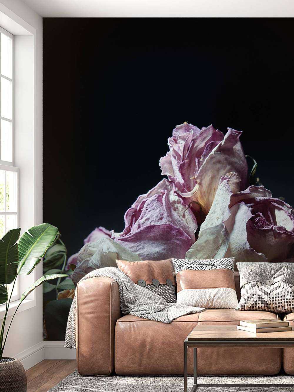 Gedroogde bloemen op zwart achtergrond