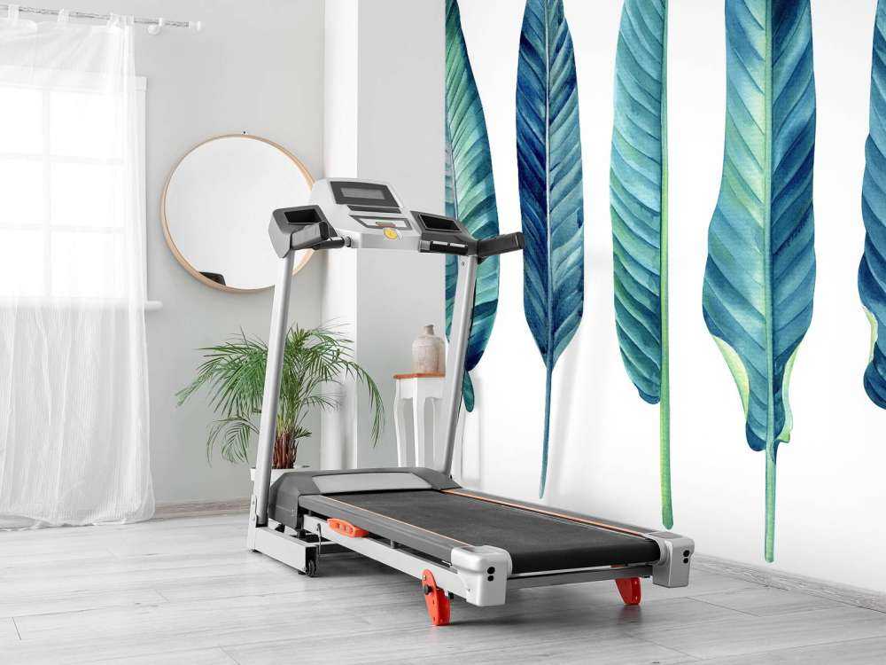 Tropische bladeren op een witte achtergrond