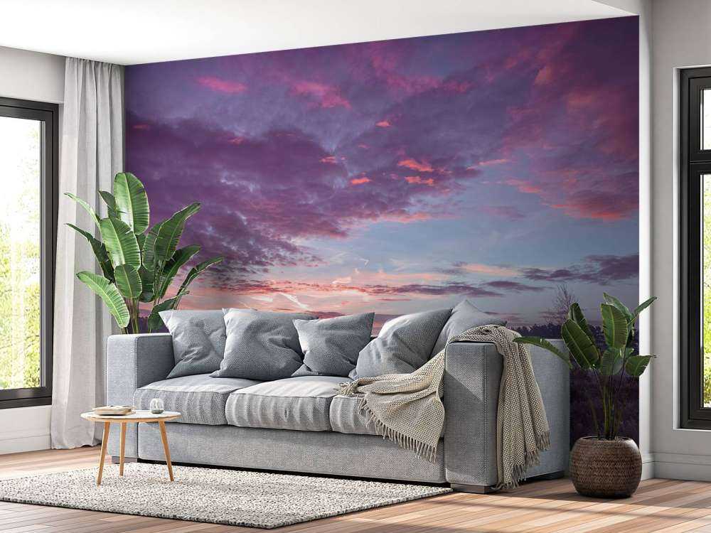 Weiland onder wolkenlucht