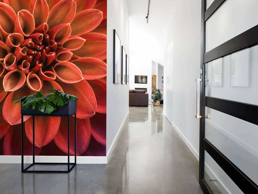 Gekleurde dahlia