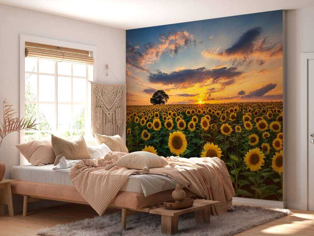 Veld vol zonnebloemen