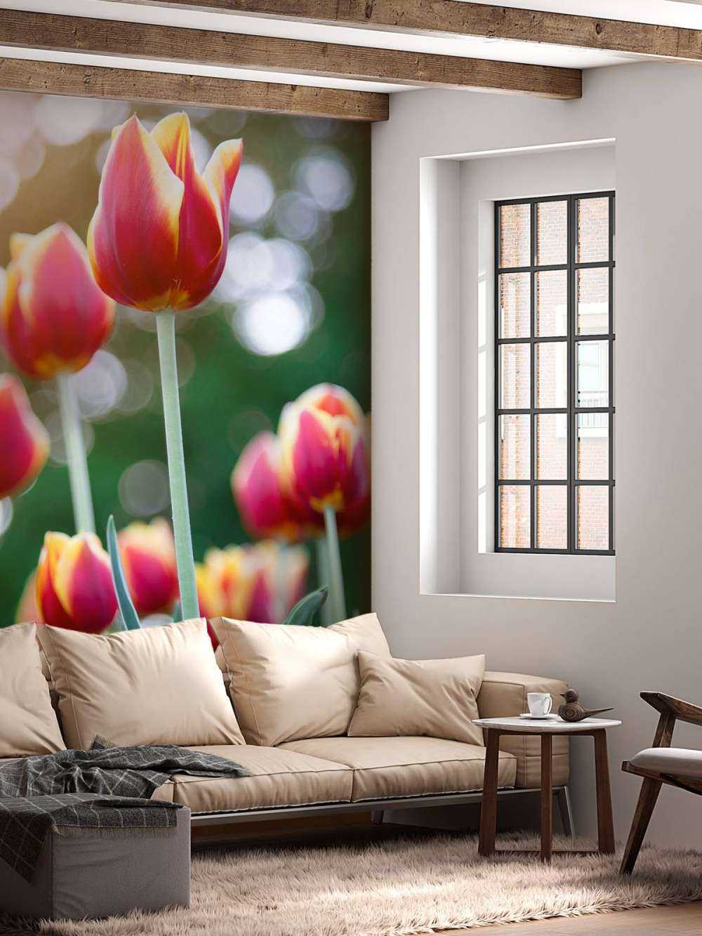 Rood met gele tulpen