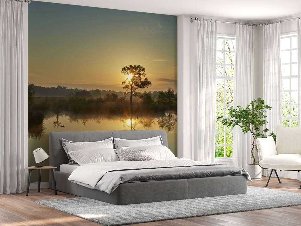 Zonsopkomst bij bosven