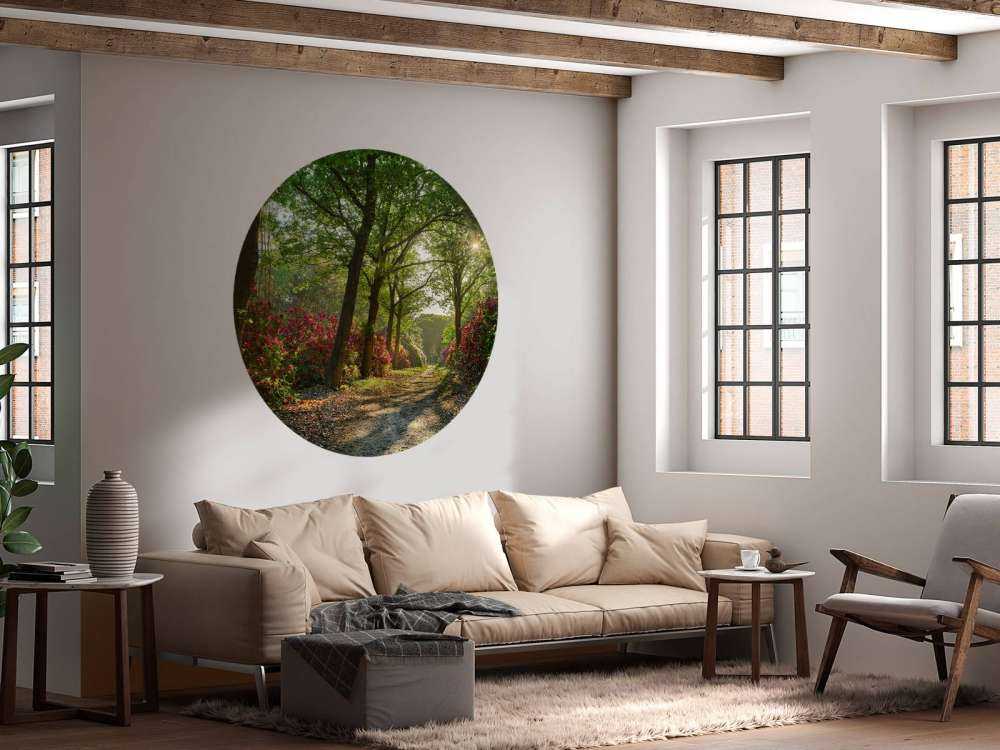 Zonsopkomst bij pad met rhododendrons