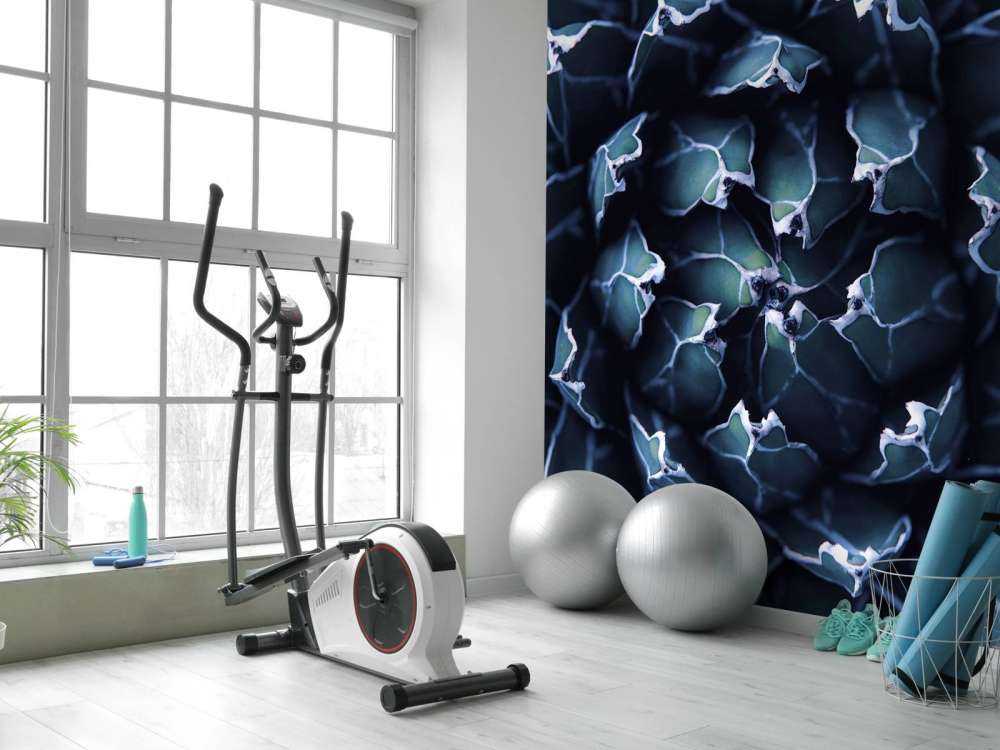 Donkerblauwe vetplant