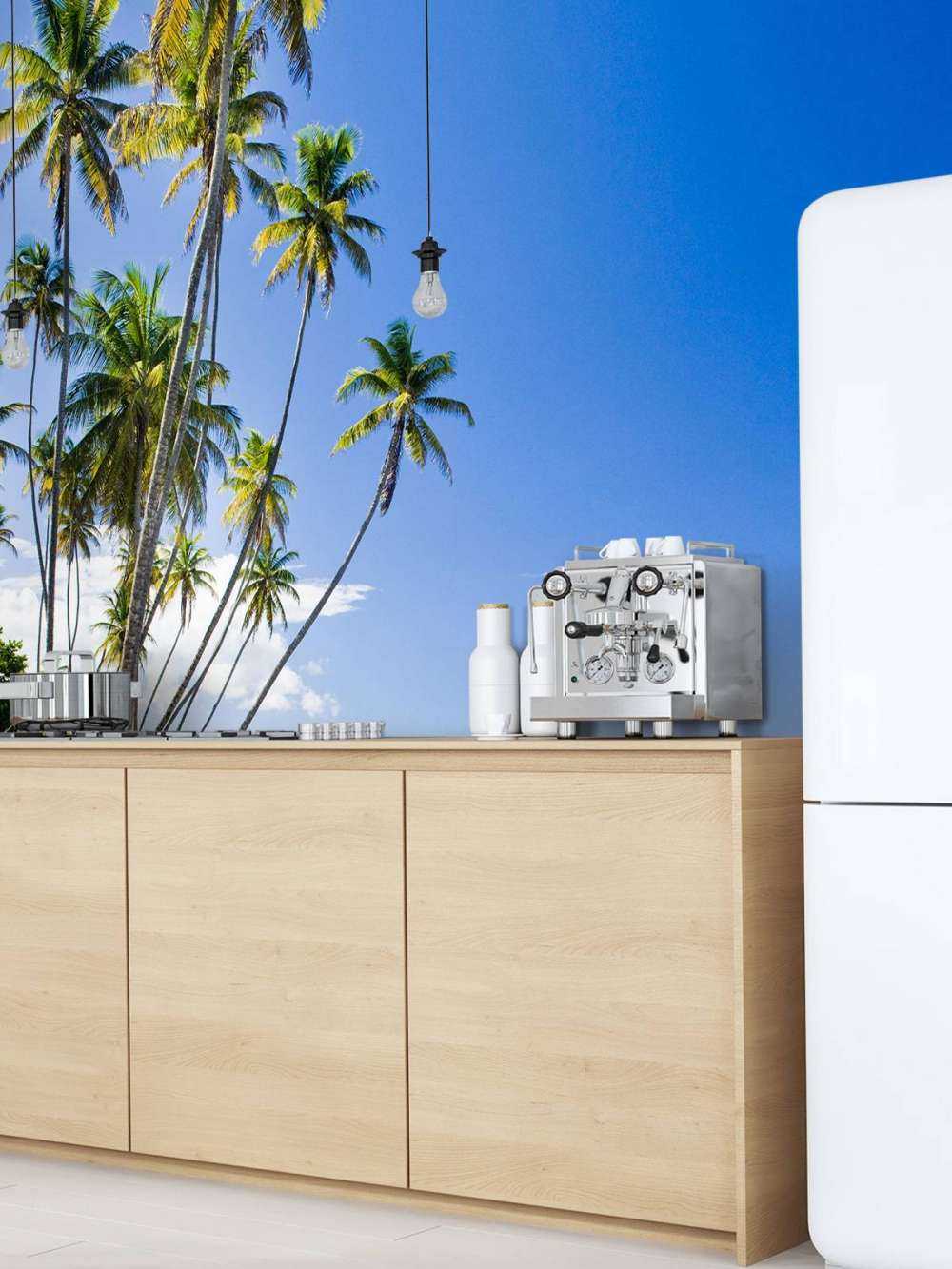 Noordkust van Trinidad