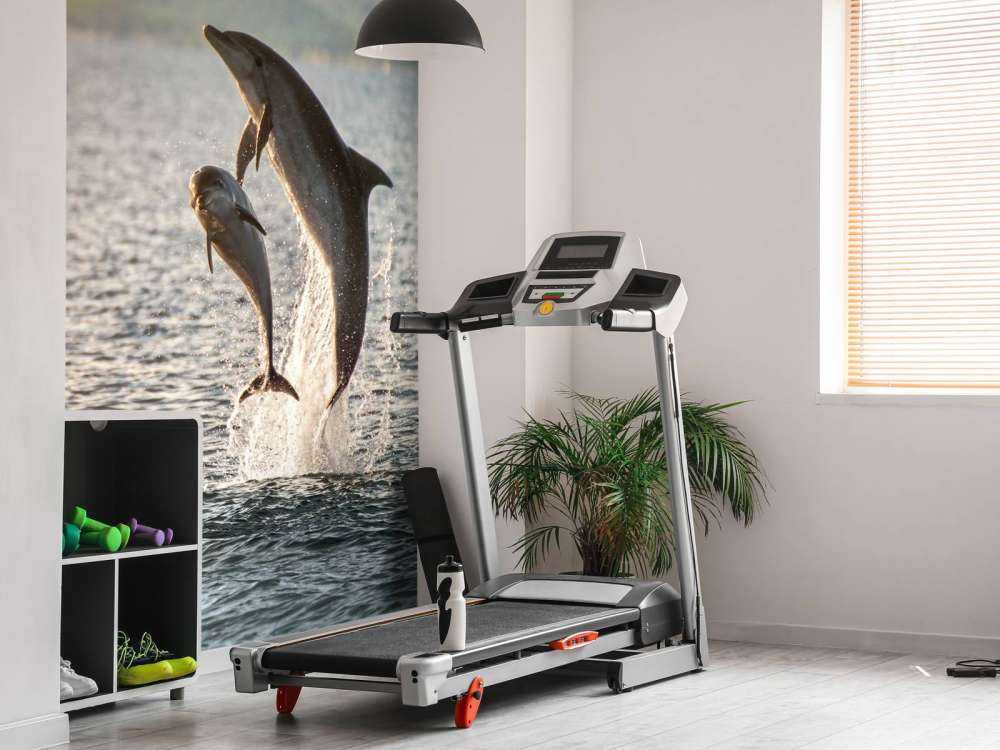 Twee springende dolfijnen