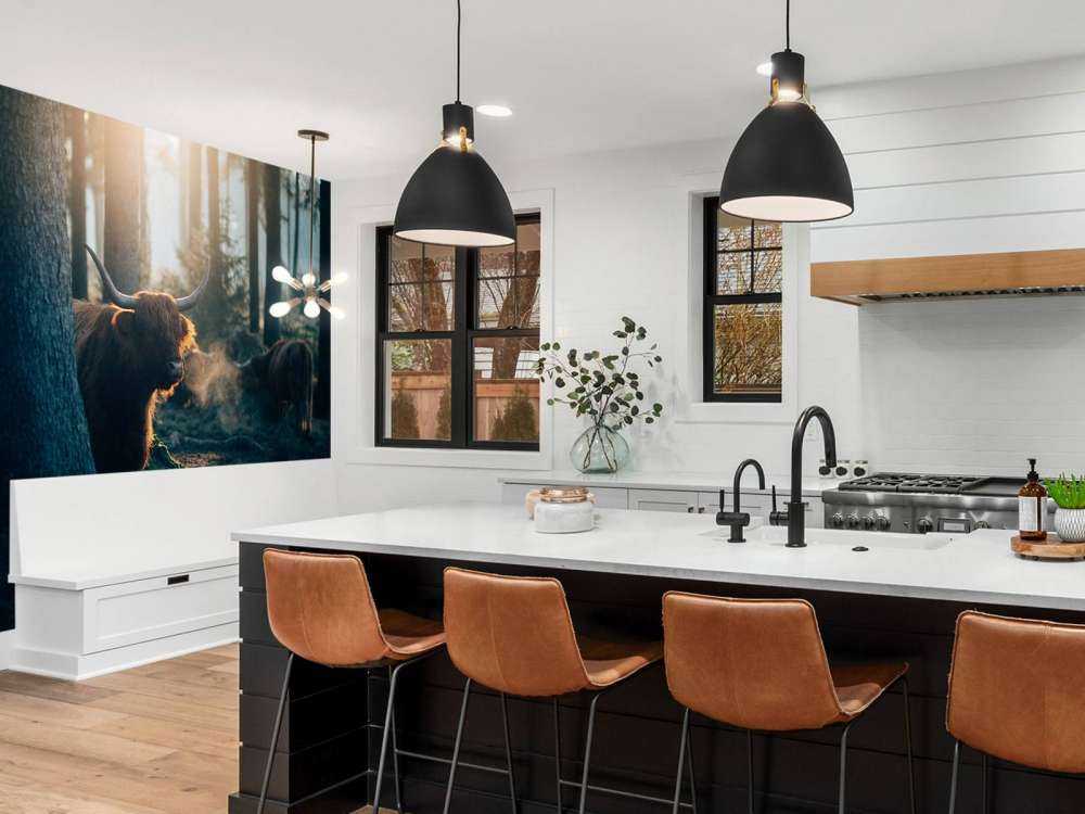 Schotse hooglander in ochtendlicht